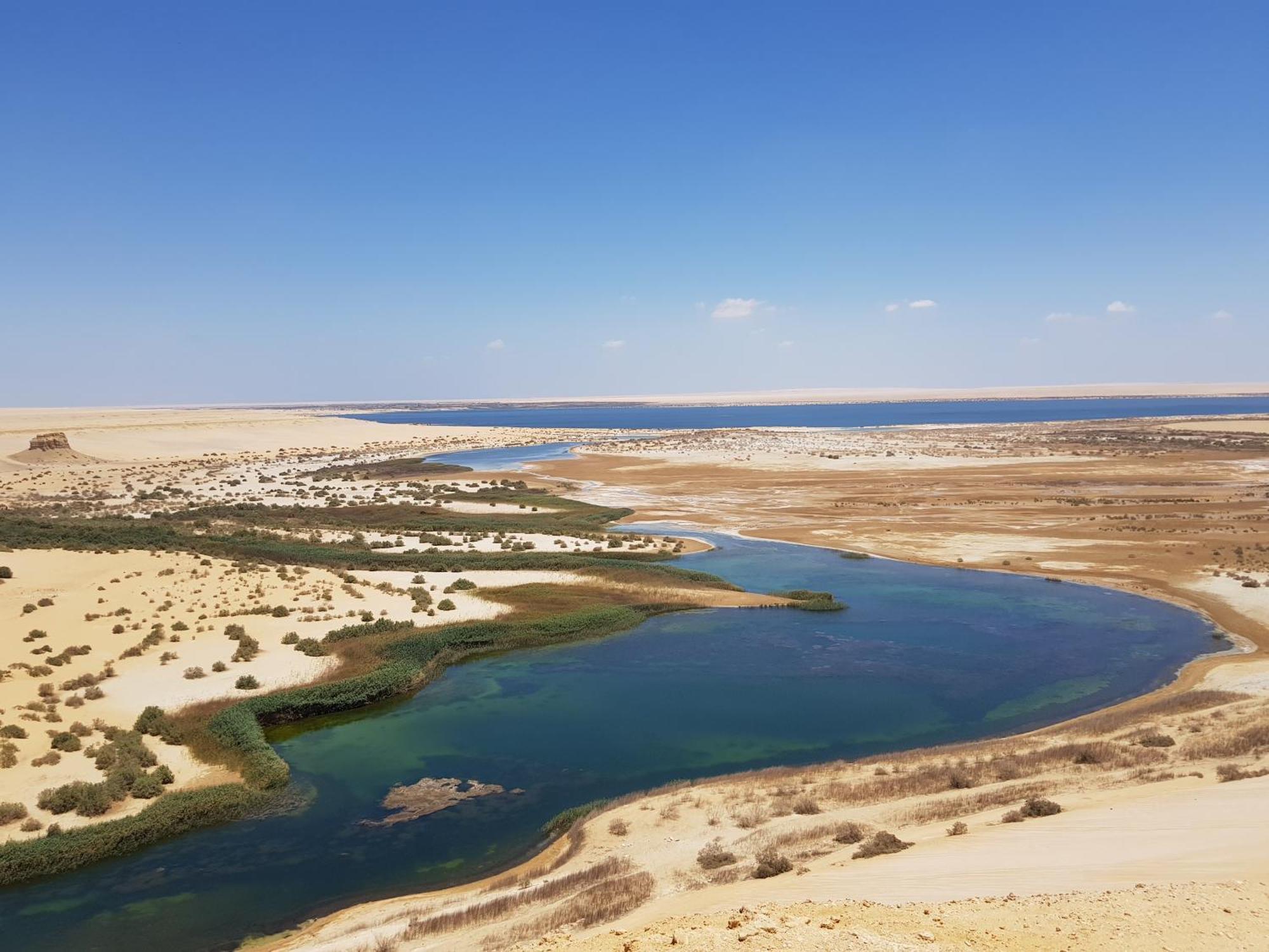 Maged Pyramids View Inn Kafret el-Gabal Exterior foto